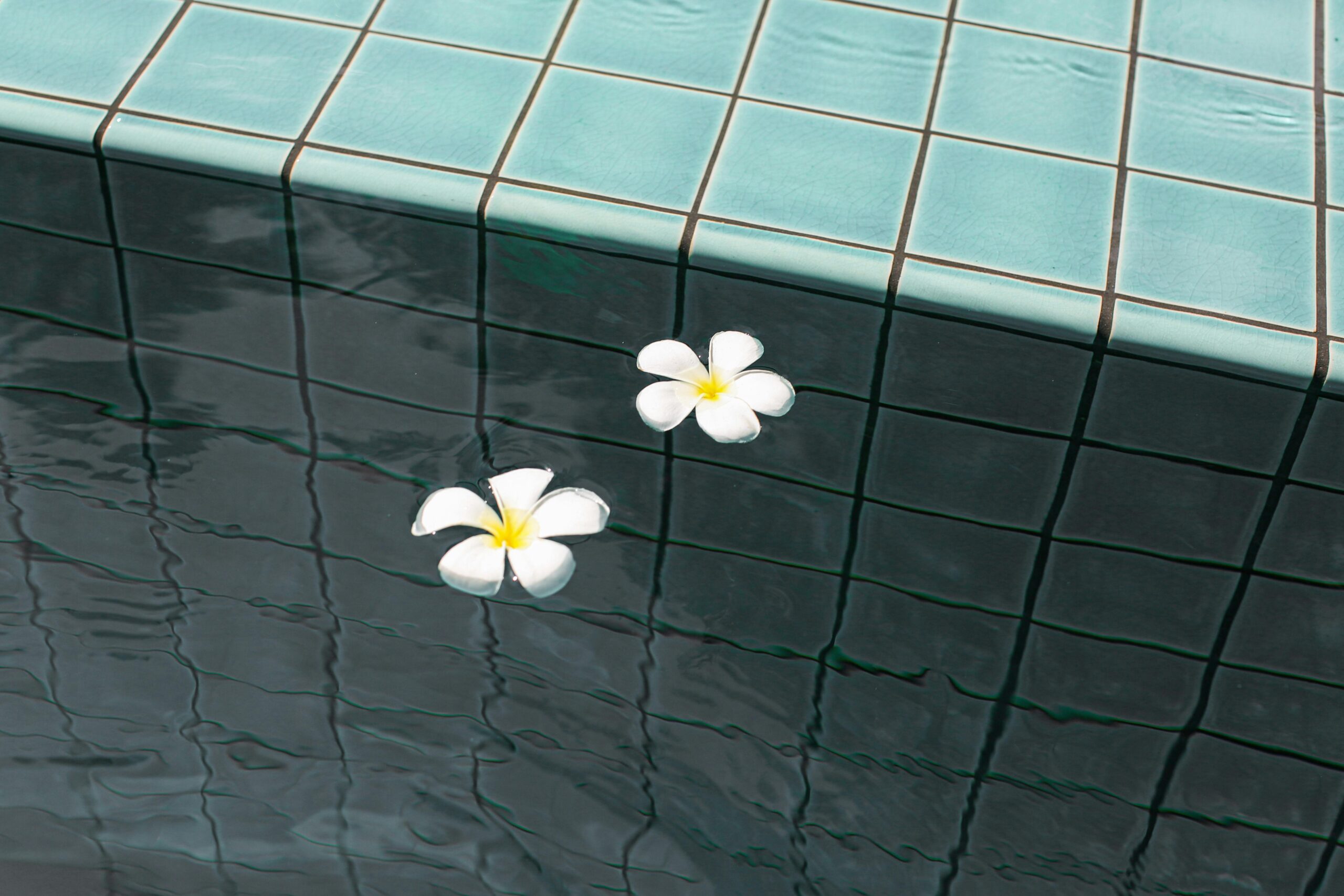 swimming pool for small backyard