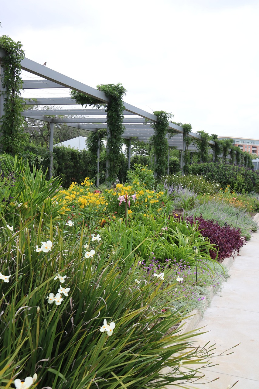 landscaping companies dubai, Pool Landscaping Interiors MEP Services Dubai