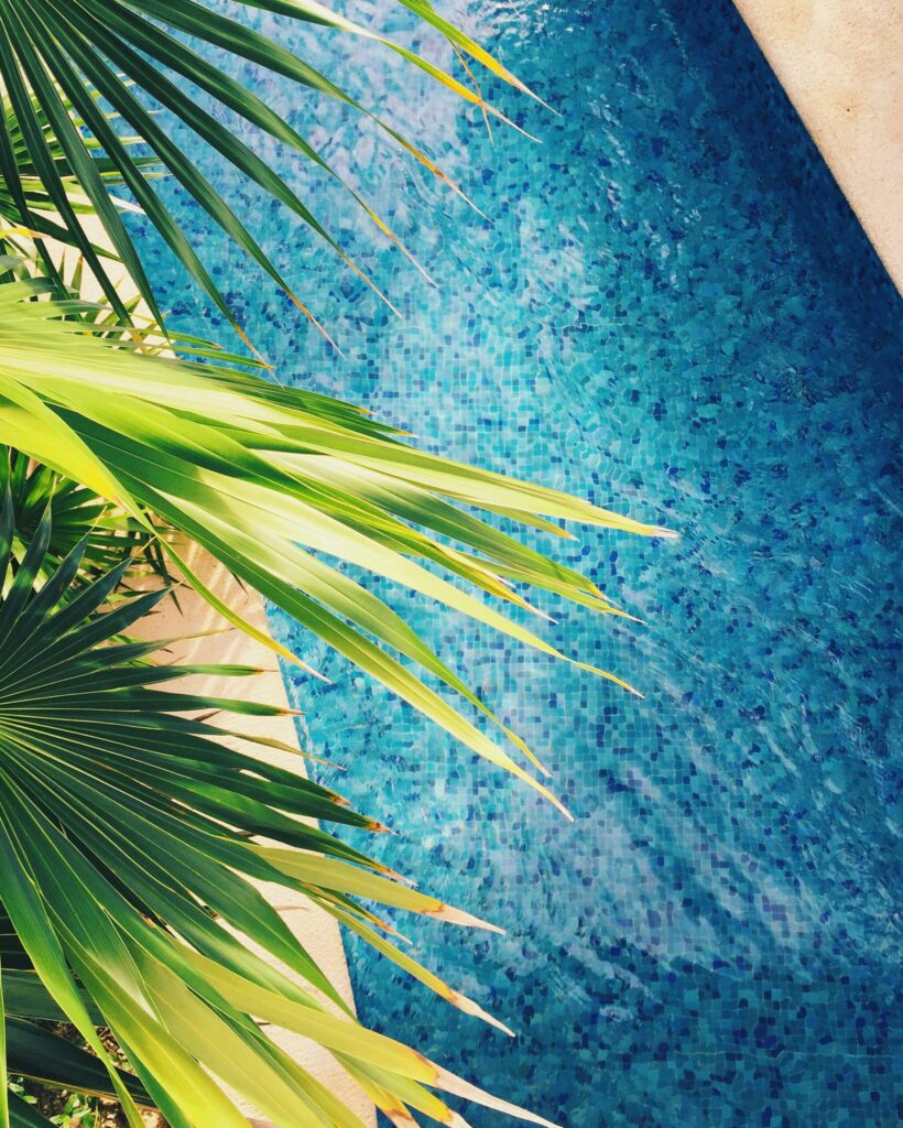 pool landscaping services UAE, best landscapers near me