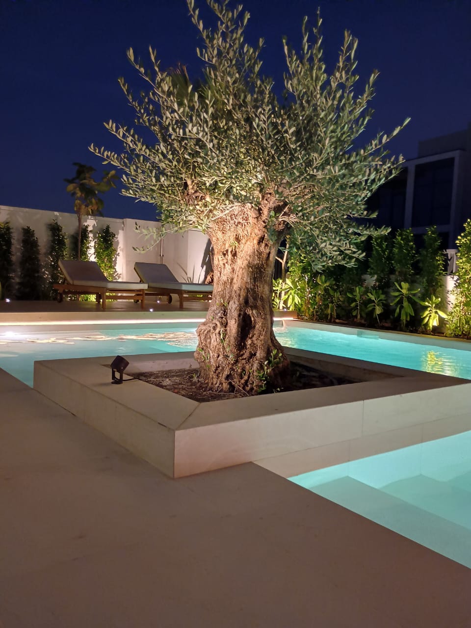 swimming pool works in Dubai by Lushly Pools