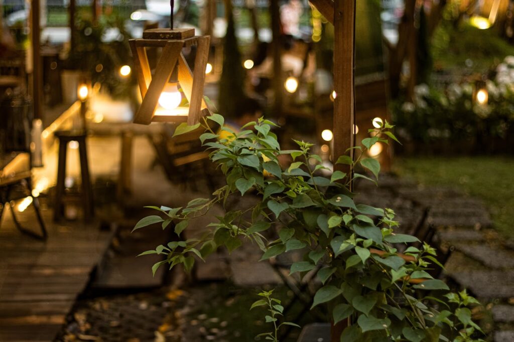 landscape contractors in dubai