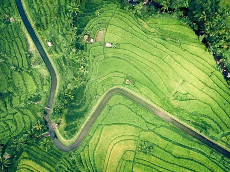 irrigation company Dubai